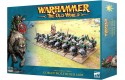 Thumbnail of warhammer-the-old-world-goblin-wolf-rider-mob_582347.jpg