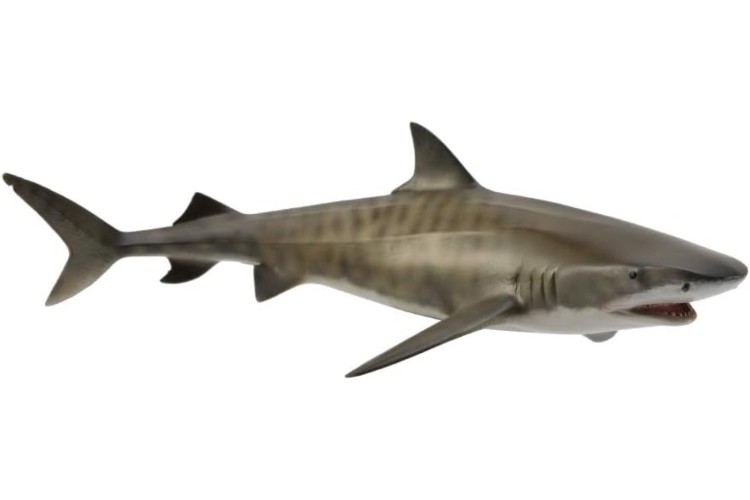 CollectA Tiger Shark figure 